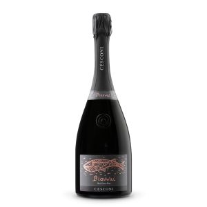 Blauwal Rosé Metodo Classico Trento DOC Bio - Linea Metodo Classico - Cesconi