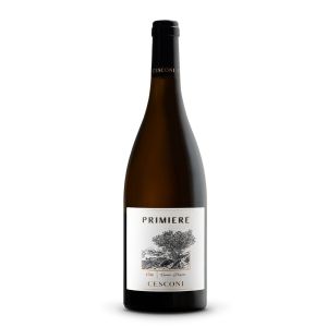 Primiere Pinot Grigio Riserva Trentino DOC Bio - Linea Cru - Cesconi