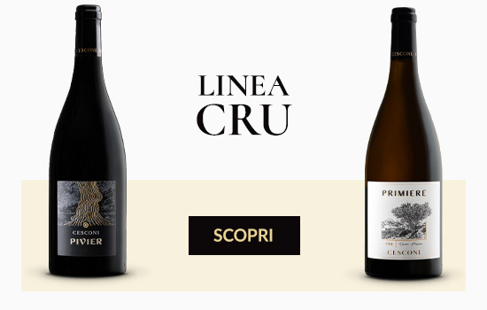 Vini Linea Cru