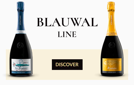 Blauwal Line